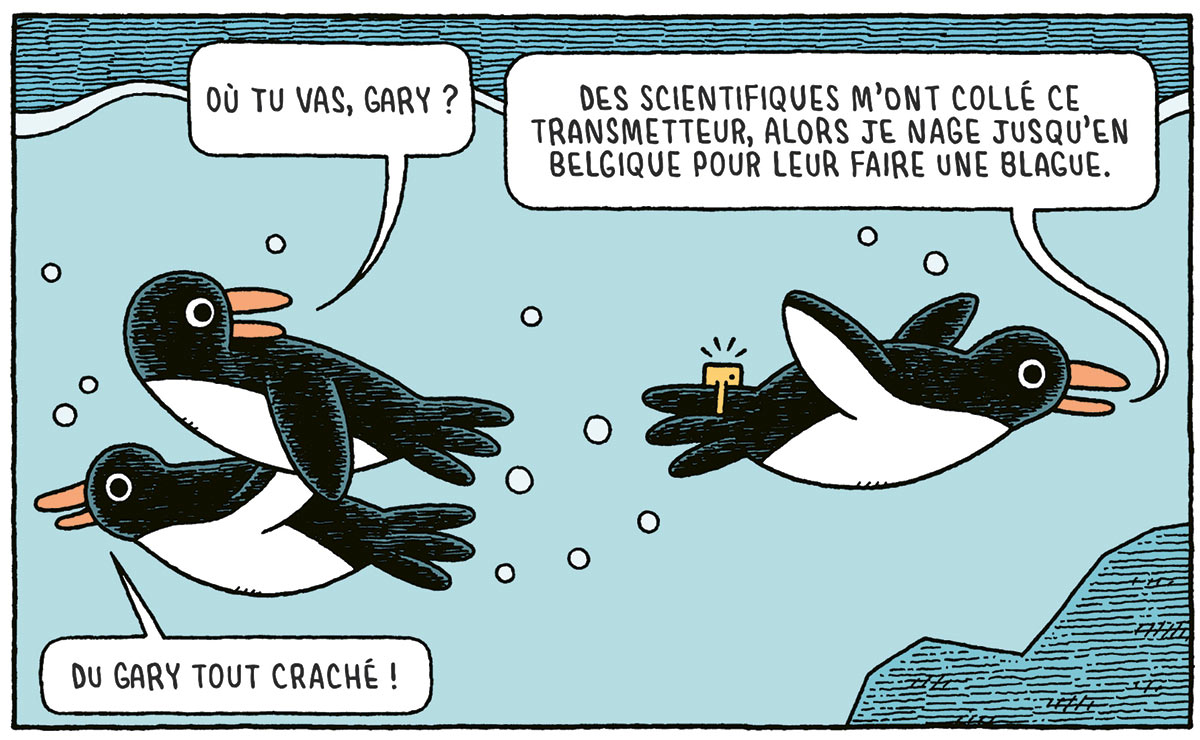 Dessin humoristique avec des pingouins par Tom Gauld