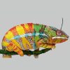 Le caméléon change de couleur pendant son sommeil